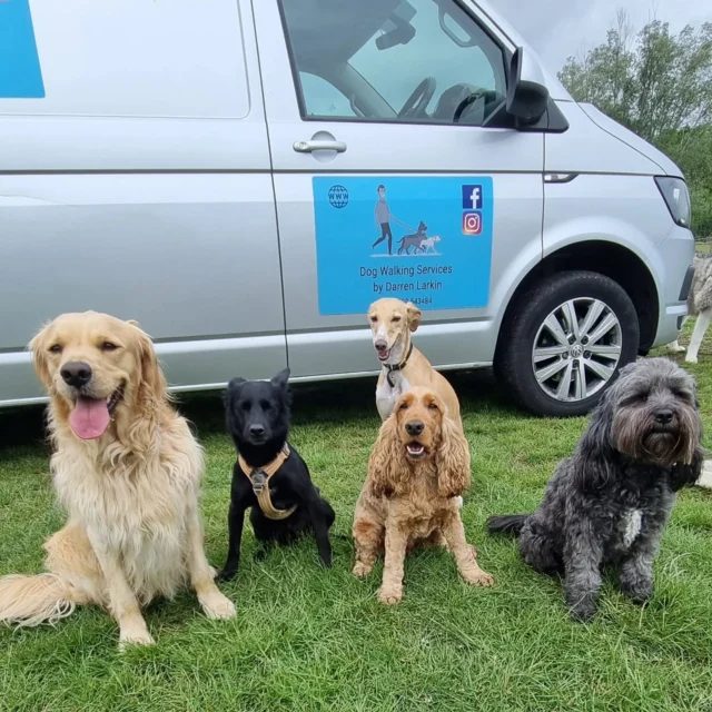 If you're looking for an "Out-of-Hours" service, whether  the weekend or during the week, that provides Flexibility.

If you have that family wedding or event planned, then look no further than Dog Walking Services by Darren Larkin. 

With competitive prices, feel free to contact us.

For more information, please contact 07799 543484 or visit our website for more information. 

dogwalkingservicesdarrenlarkin.co.uk

I am listed on "The Good Dog Guide".