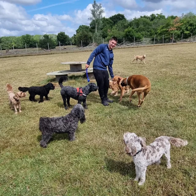 This week, I'm pleased to be joined by Matthew, who is on work experience with Dog Walking Services by Darren Larkin.

Matthew is from Hugh Christie School in Tonbridge.

Welcome aboard Matthew 😀