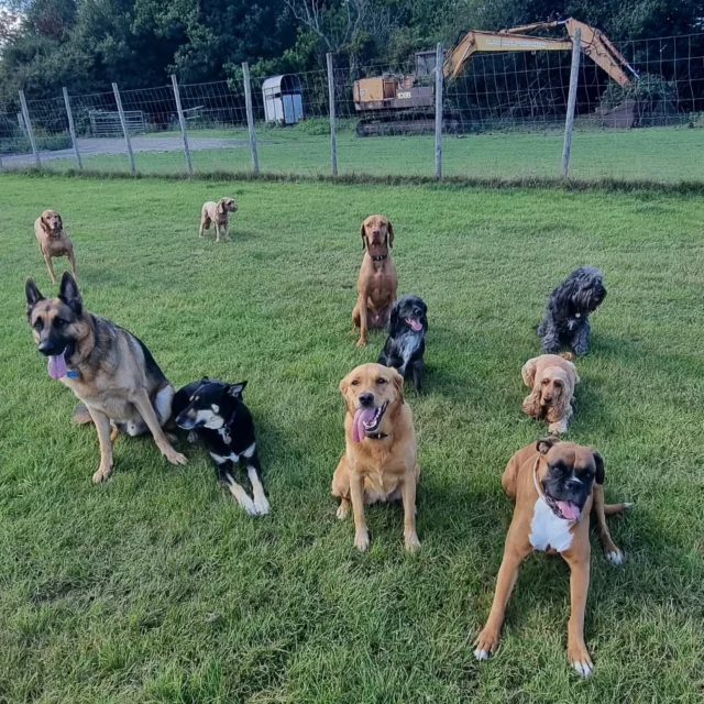 Holidays are over, and the Friday Gang back together ❤️
