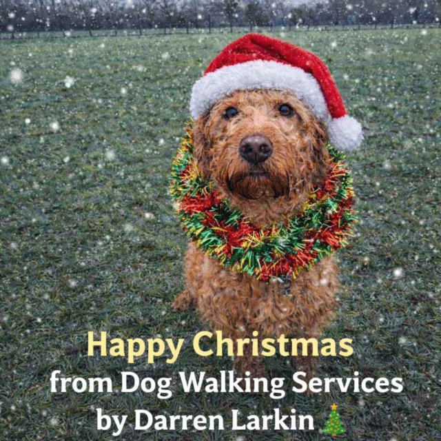 Instagram post 18108559258724644