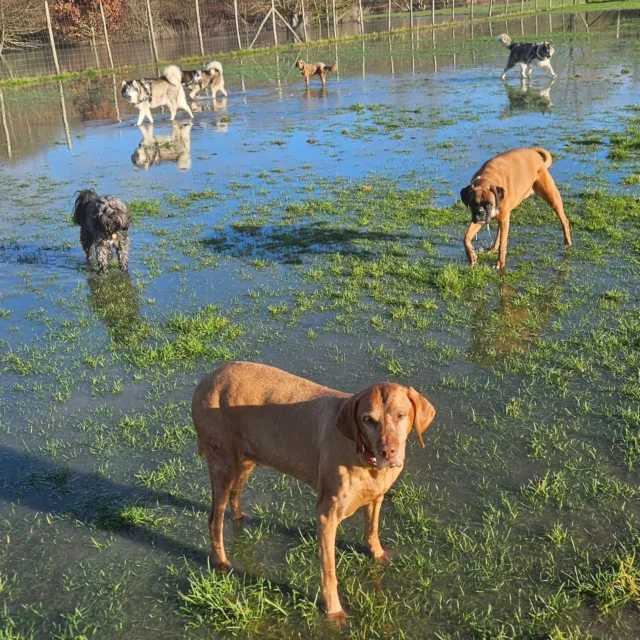 The day after yesterday's terrible weather.
We finally have some sun 🌤