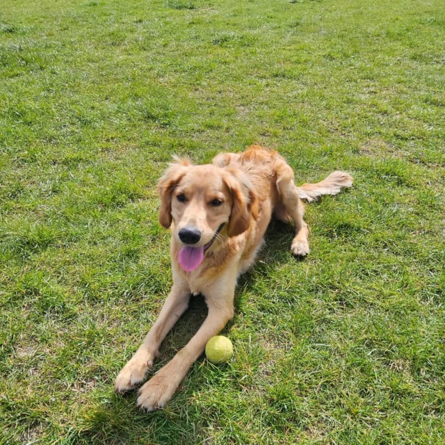 Welcome back JJ ❤️