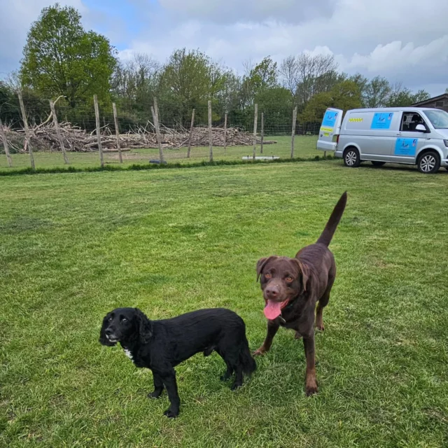 A Summers day, Part 1 🌞