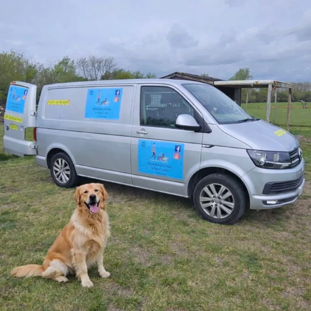 Dog Walking Services by Darren Larkin, for all your doggy requirements. 

Look out for me in your town and give me a wave.

For more information, please contact 07799 543484 or visit the website for more information. 

dogwalkingservicesdarrenlarkin.co.uk

We are listed on "The Good Dog Guide."