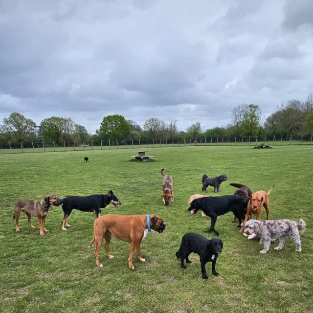 A Summers day, Part 2 🌞