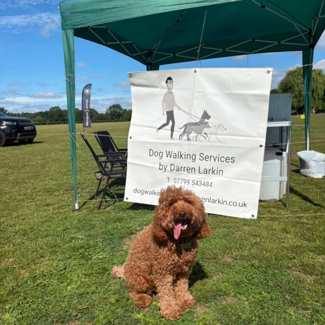 Dog Walking Services by Darren Larkin and Wild Paws Dog Grooming were invited to have a stall at this year's  car show organised by The Mason Foundation.

The event took place on Sunday 28 June at the Tonbridge Racecourse.

Here are a few pictures of us at the show.